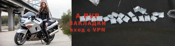 ПСИЛОЦИБИНОВЫЕ ГРИБЫ Лабытнанги