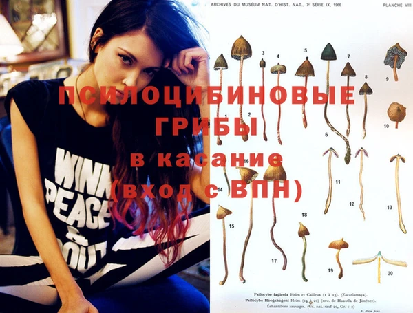 каннабис Ладушкин