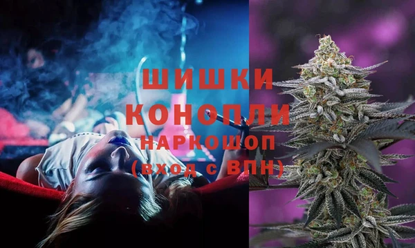 ПСИЛОЦИБИНОВЫЕ ГРИБЫ Лабытнанги