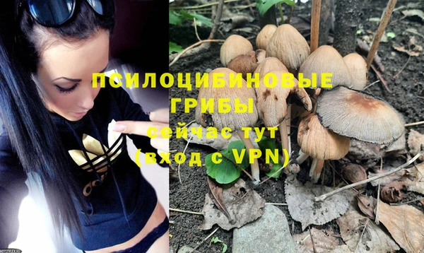 каннабис Ладушкин